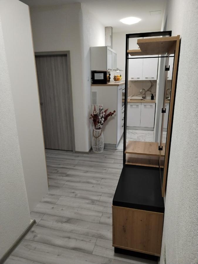 Apartman Zeko Rijeka Bagian luar foto